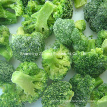 Chinese New Frozen IQF Broccoli